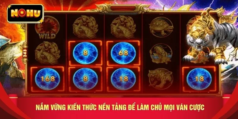 Nắm vững kiến thức nền tảng để làm chủ mọi ván cược